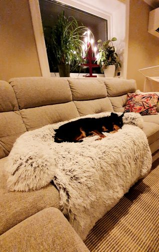 Soffbädd - Hundbädd som Skyddar din Soffa Soffskydd photo review